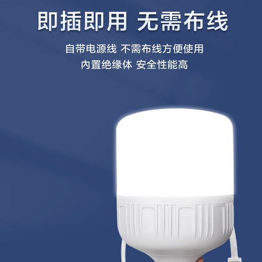 Whale and Light LED energy-saving light bulb with plug household plug-in e27 socket lamp with switch wire super bright hanging small wall lamp 4 meters wire