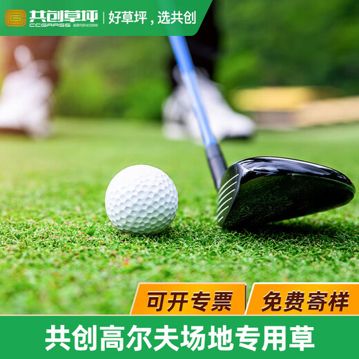 Co-create lawn golf green grass indoor and outdoor golf artificial turf fitness environmental protection gate court curved turf simulation golf B type