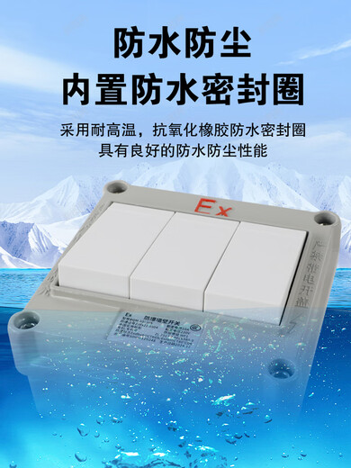 Type 86 explosion-proof lighting switch wall mounted 10A/16A single and double control spark-free 5-hole socket plug and drain waterproof 5-hole 10A