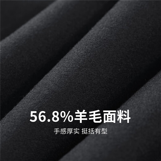 Dances with Wolves 56.8% Sheep Wool Baseball Collar Woolen Jacket Men's 2025 Autumn and Winter New Down Warm Jacket 1004 Black 001 S (165)