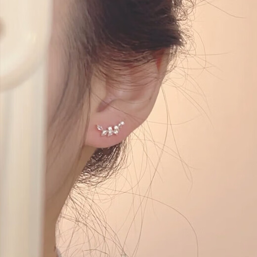 Wheat earrings 2025 new popular niche design high-end S925 sterling silver temperament exquisite earrings A3008-Wheat small earrings 1 pair of earrings