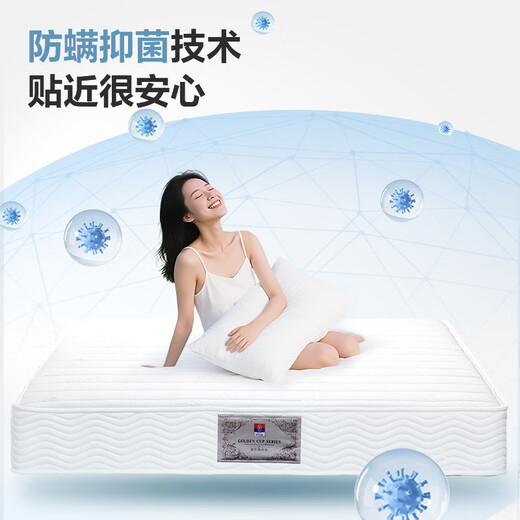 Fuana mattress latex spring mattress government subsidy soft and hard dual-use spine protection coconut palm hard mattress Simmons mattress A-hard model 22cm-whole network spring (recommended) 1.8*2 meters