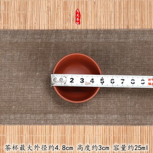 Chaosihui Zisha Kung Fu Tea Set Home Small Set Simple Chaoshan Complete Ceramic Tea Tray Teapot Teacup Tea Set Red Xishi Set (160ml Pot)