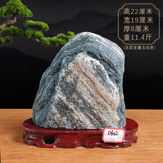 
Three-aqua Tiger fidelity Taishan stone natural raw stone Taishan stone dare to be the indoor living room corner office Yang stone backing 15921 backing