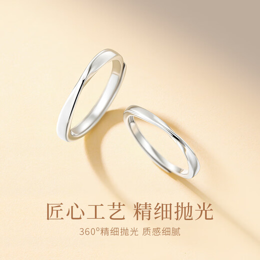 GLTEN Mobius Couple Rings Pure Silver Rings Girls Birthday Christmas Gifts Wedding Anniversary Gifts for Girlfriends and Wife Mobius Couple Rings-999 Pure Silver