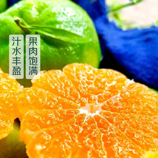 Jiangxi Xunwu Seedless Mandarin Orange 1kg