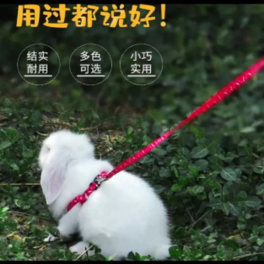 Dog Leash Harness Dog Leash Small Dog Cat Teddy Bichon Rope Rabbit Rope Large Durable Professional Pet Leash - Mixed Color Small - 1 Pack -