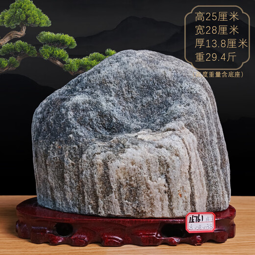 
Three-aqua Tiger fidelity Taishan stone natural raw stone Taishan stone dare to be the indoor living room corner office Yang stone backing 15921 backing