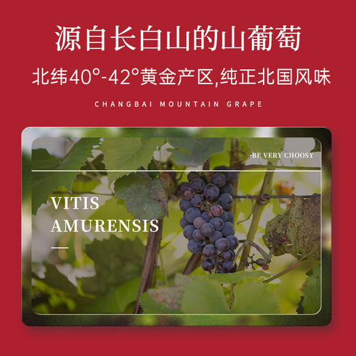 劲牌 毛铺清香年代 42度露酒 500ml+通化 山葡萄气泡酒 7度 500ml