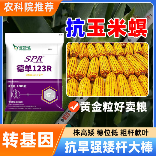 壮汉转基因高产玉米种子抗倒抗旱大棒抗虫矮杆封顶性好高净度苞谷种 转基因抗虫高产【3950粒】封顶好