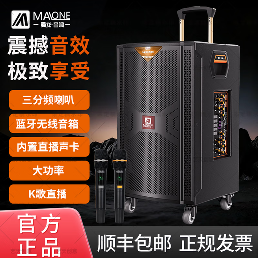 MALONE high-power outdoor karaoke speaker with wireless microphone Bluetooth professional sound card live singing high volume performance mobile trolley square dance speaker K-710 speaker (8-inch bass) dual microphones + gift package