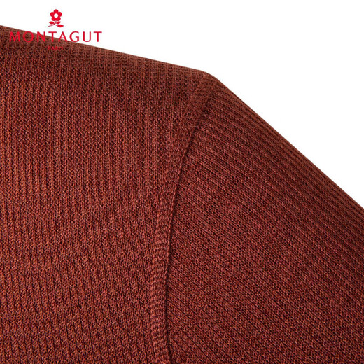 MONTAGUT Sheep Wool & Warm Plush Wool Sweater Men's Round Neck Sweater Men's Autumn and Winter Casual Warm Sweater Men's Brown M 48 170/88A 120Jin Jin is equal to 0.5 kg within
