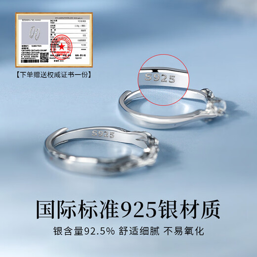 Chinese Jewelry Eucalyptus and Bird Couple Ring Men and Women One Sterling Silver Proposal Ring Confession Birthday Anniversary Gift for Girlfriend