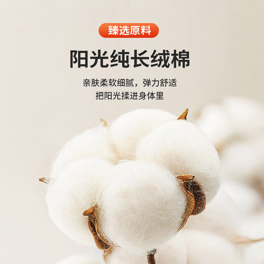 Antonio 100% long-staple cotton simple and versatile henley collar men's sweater, casual waffle texture sweater, Maxing 3XL/56(190/104A)