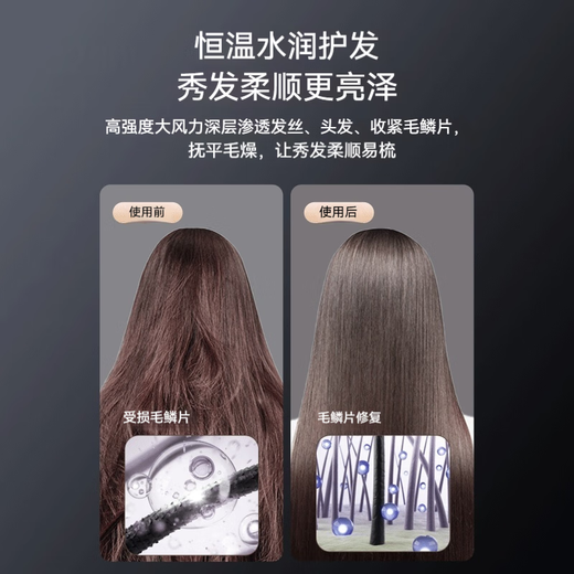Zaoyu Hair Dryer Hair Salon Special High Wind Negative Ion Hair Dryer Home High Power Barber Shop Blue Light Hair Dryer Constant Temperature Hair Care Large Air Volume Low Noise Quick Drying 2200W Professional Salon High Power Quick Drying Hair Dryer