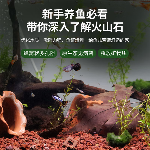 Jinyate red volcanic stone flower fish tank bottom sand succulent orchid Phalaenopsis special paving stone aquarium landscaping 2.5KG