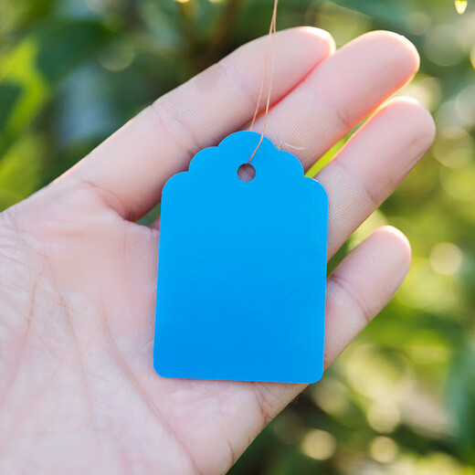 100 pieces of hang tags, plant signs, tree signs, classified color cards, plastic, waterproof, light-fast, non-fading P 5*7cm white, 100 pieces