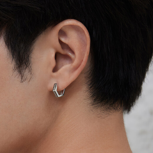 Lukfook Jewelry Platinum 950 Grass Pattern Platinum Earrings Men's (Single) Earrings Price Approximately 2.55g