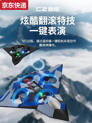 三栖虎儿童遥控飞机战斗机航模滑翔机无人机四轴飞行器男孩玩具生日礼物 低配300毫安版-特技战斗机-欧盟 标配