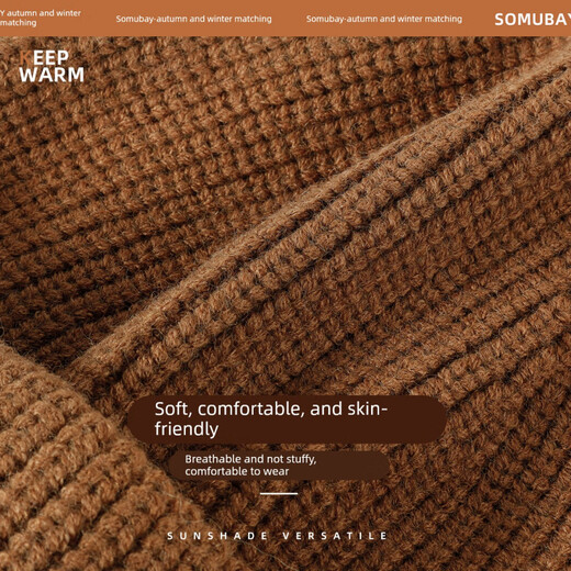 SOMUBAY (SOMUBAY) Brown Woolen Hat Women's Winter Warm Cold Hat Ear Protection Knitted Hat 2025 New Autumn and Winter Coldproof Baotou Hat Coffee Color One Size