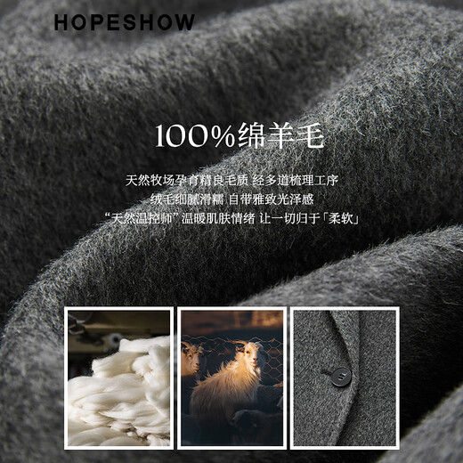 Red sleeve high-end double-sided woolen coat 2025 winter new women's clothing Quiet luxury and smart sense 100% sheep wool coat Ash 056 L