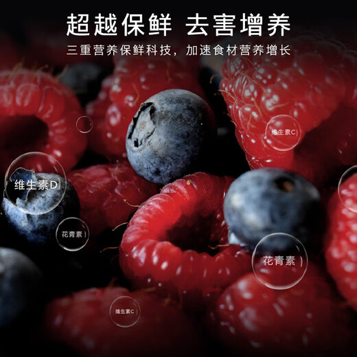 COLMO Grand Slam Refrigerator