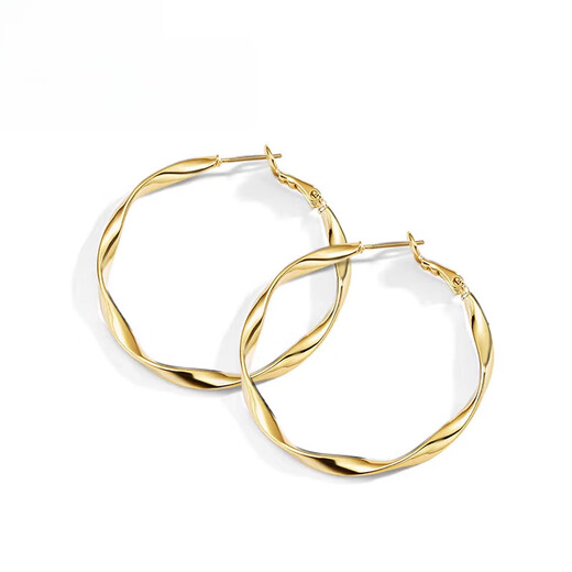 Fat Donglai's same style 18k gold hoop hoop earrings retro large 2025 new earrings women's niche design gold diameter 3.5cm 925 silver needle + combination