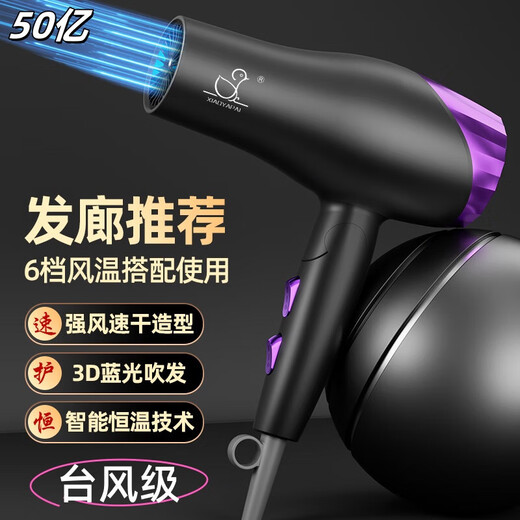 Xiaoya (XIAOYA) 2400W High Power Hair Dryer Negative Ion Hair Dryer Blue Light Hair Care Folding Hair Dryer Powerful High-Speed Hair Dryer King Top Edition Honor Purple + 2400W + Free Air Nozzle + Foldable 4.5 Billion Blue Light Ion Hair Care Typhoon Level Wind Movement