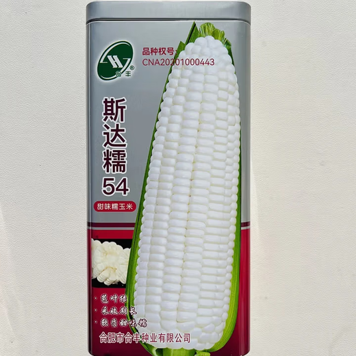 白甜糯玉米种子高产白糯玉米非转四季播国审农家超甜加糯玉米种子 昕糯628玉米种子【原装200克】1袋