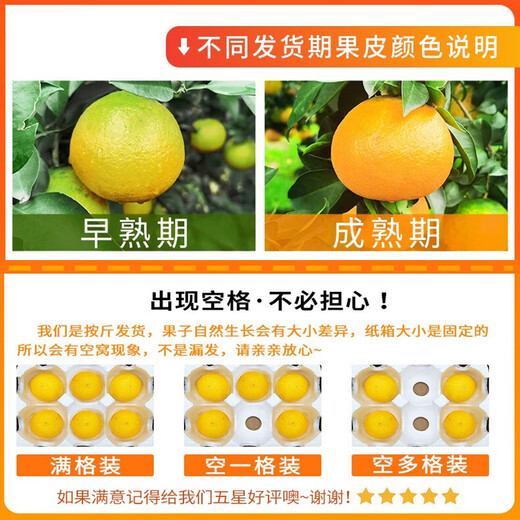 Guoluyuan Sichuan Ehime No. 38 Jelly Orange Seasonal Citrus Orange Fresh Seasonal Fruit Citrus Orange Seasonal Box 5Jin Jin equals 0.5kg Selected good fruit 70-80MM Net 4.5Jin Jin equals 0.5kg