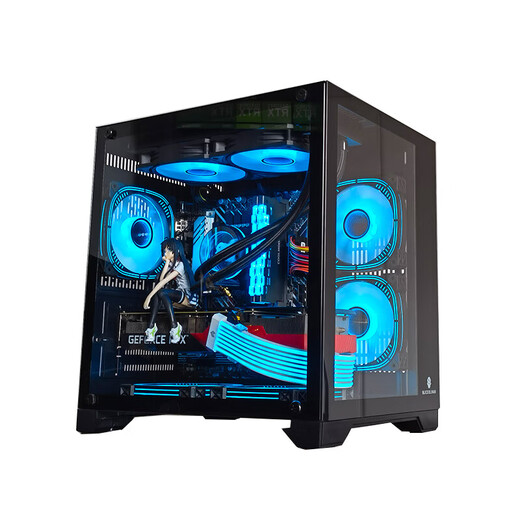 玩嘉 孤勇者MINI白电脑机箱台式机MATX海景房240一体水冷全侧透ITX桌面 孤勇者MINI黑