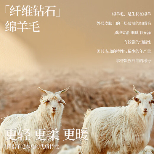 Tingmei Thermal Underwear Women's Wool Heated Autumn Clothes and Autumn Pants Seamless Slim Fit Autumn and Winter Body Suit Ka XL