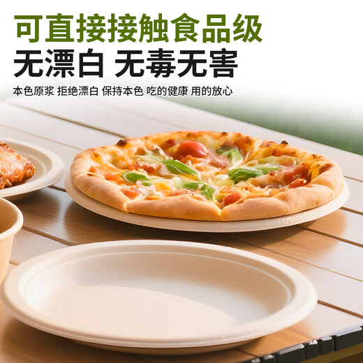Jieribang disposable sugarcane pulp dinner plates 9 inches 20 pieces food grade thickened waterproof and oil-proof biodegradable paper plates