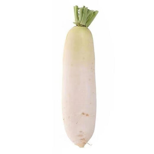 White radish, fresh in season, freshly dug, crispy, sweet and juicy, farm-grown and eaten raw, crispy, sweet and refreshing. White radish 5Jin Jin is equal to 0.5kg.