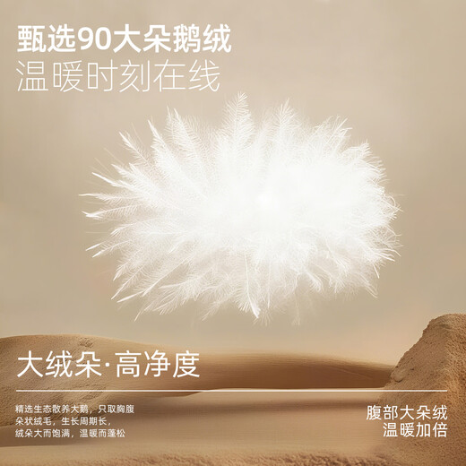 Youngor windbreaker men's high-quality polyester fiber down windbreaker business lapel classic inner zipper 2025 new arrival gray blue VYYF419865HFA L 175/96A (recommended 130-150Jin Jin equals 0.5kg)