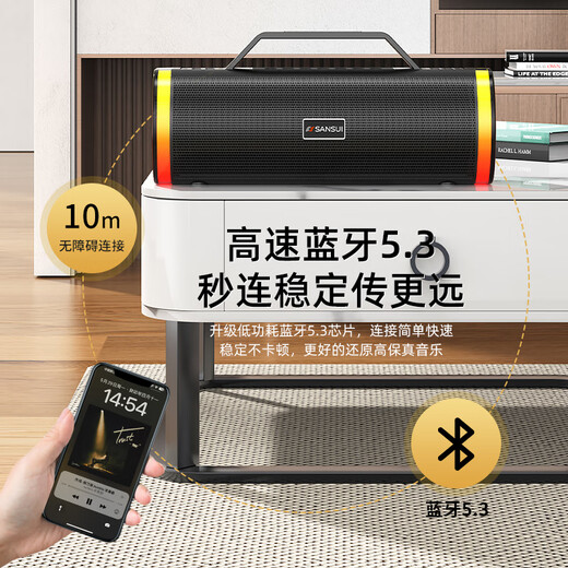 山水（SANSUI）音响功放一体机2025新款无线蓝牙小型家用ktv手提便携式户外大音量广场舞音箱低音炮喇叭播放器 D71【尊享版】双麦32G优盘版 便携K歌音响套装