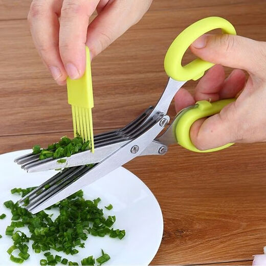 LZJV Ciseaux à Oignon Vert en Acier Inoxydable à Cinq Couches Ciseaux à Complément Alimentaire Multicouches Multifonctionnels pour Algues Ciseaux Alimentaires de Cuisine Petits Ciseaux Verts à 3 Couches 13 cm 1 Portion