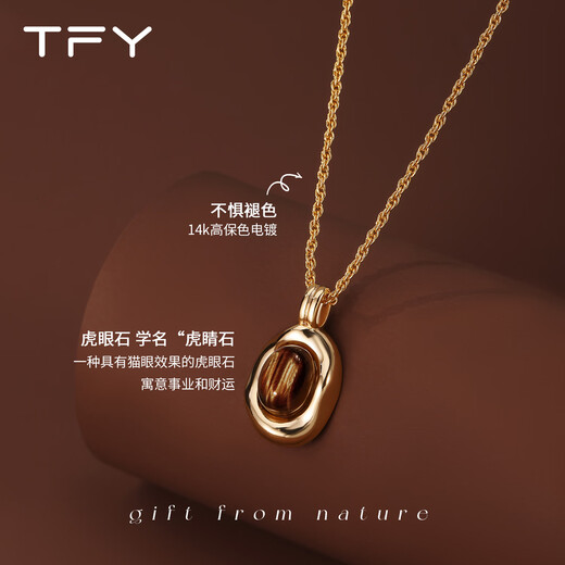 TFY Maillard tiger eye stone necklace for women 2025 new autumn and winter stacking accessories, exquisite sweater chain with coat in winter, pendant necklace + earrings