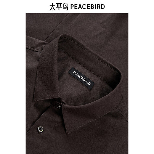 PEACEBIRD Men's Wear Shopping Mall Same Style Casual Shirt Sven Shirt Textured Wool Shirt B1CAE4B19 Brown 1 M