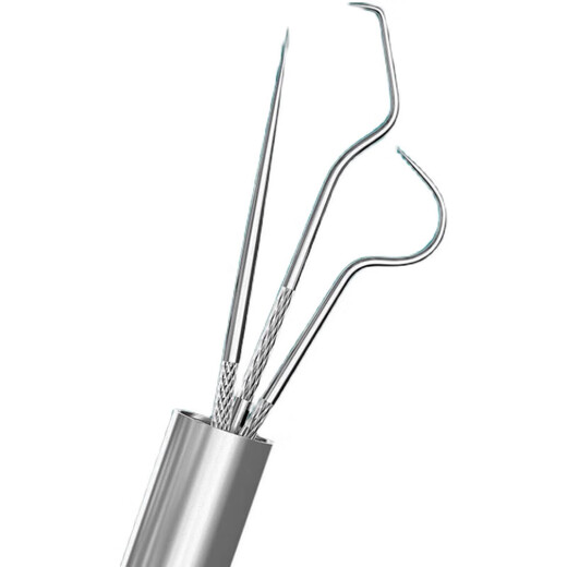 304 cure-dents transportent l'outil de nettoyage à aiguille en acier inoxydable à carreau de rasage à la maison