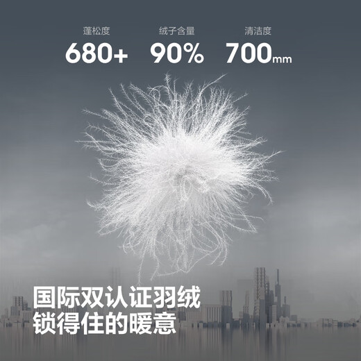 Bosideng 25 Years Winter Down Jacket Same Style Slim Short Fashionable Thickened Hooded Round Neck Jacket for Men and Women Couples