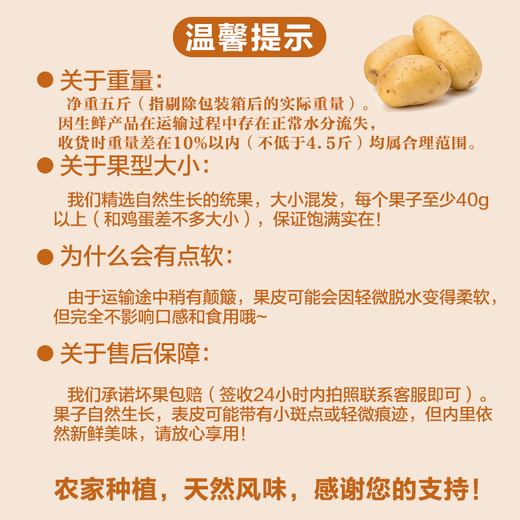 Banshu Fresh Potatoes Guizhou Specialty Alpine Potatoes Potatoes Yellow Skin Yellow Heart Potatoes Farm Homegrown Vegetables Yellow Skin Potatoes 5Jin Jin equals 0.5kg (net weight)