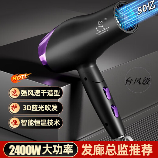 Xiaoya (XIAOYA) 2400W High Power Hair Dryer Negative Ion Hair Dryer Blue Light Hair Care Folding Hair Dryer Powerful High-Speed Hair Dryer King Top Edition Honor Purple + 2400W + Free Air Nozzle + Foldable 4.5 Billion Blue Light Ion Hair Care Typhoon Level Wind Movement