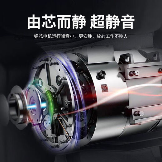 Tiannan Brothers (TNBROTHERS) Tiannan Brothers Automobile Air Conditioning Vacuum Pump Dual-purpose Vacuum Pump Refrigerant Filling Tire Invigorating Refrigerator 12807-liter pump High-efficiency motor spot direct delivery