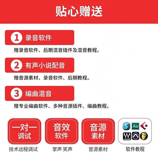 Burren Bell BL520X-USB condenser microphone audiobook special recording equipment professional novel Himalayan mobile phone microphone recitation dubbing broadcast set anchor recording studio entry-level model with desktop stand + monitoring headphones