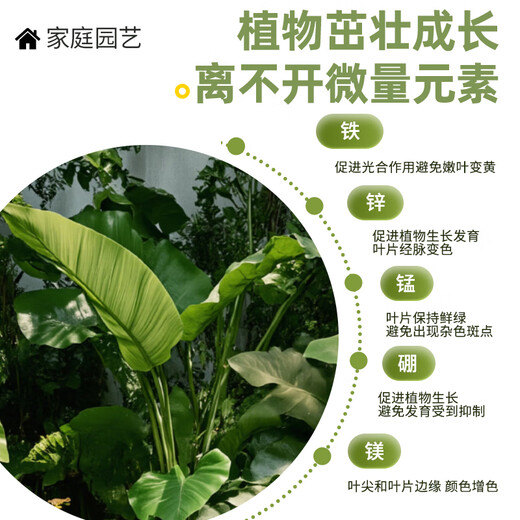 Lan Jingtian universal plant nutrient solution concentrated fertilizer balcony gardening money tree fruit vegetables green plants flowers household 500ml