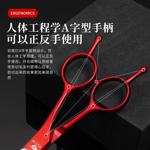Tanizaki Pet Scissors, Teddy Dog Grooming Scissors, Grooming Tools, Trimming Shears, Golden Retriever Dog Hair Cutting Artifacts, Straight Shear + Curved Shear + Teeth Scissors + Bag + Steel Comb