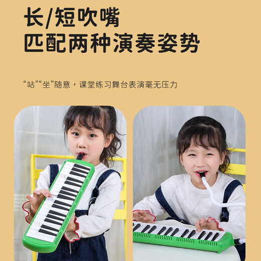 Chimei harmonium children's primary school teaching harmonica 37-key blue Anzhe QM37A-8 (soft bag)