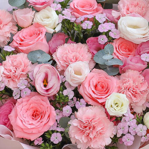 Baihuaguan Flower Express Carnation Bouquet Real Flowers Birthday Gift Flowers for Mom, Mother and Elders Delivered within Hours in the City Thank You Mom|dy835