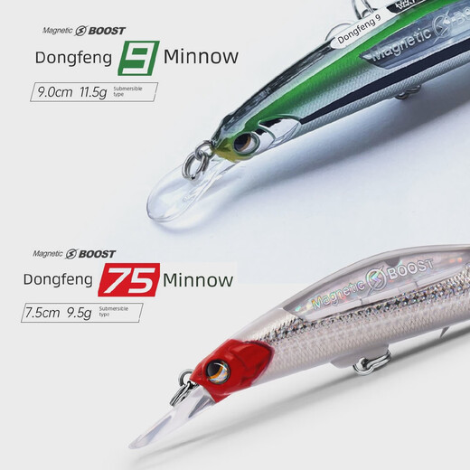 Dahe Run Dongfeng 75m sol Nongfeng n ° 9 Magnetic Storm Remote System Hook-bouche basse séduction noire 11975 mm 9,5g